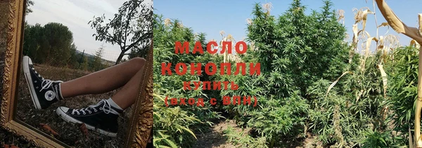 сатива Беломорск